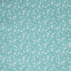 Coated  Cotton DIFATTI Mint / White